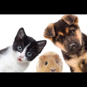 Meet your Posher, Elle